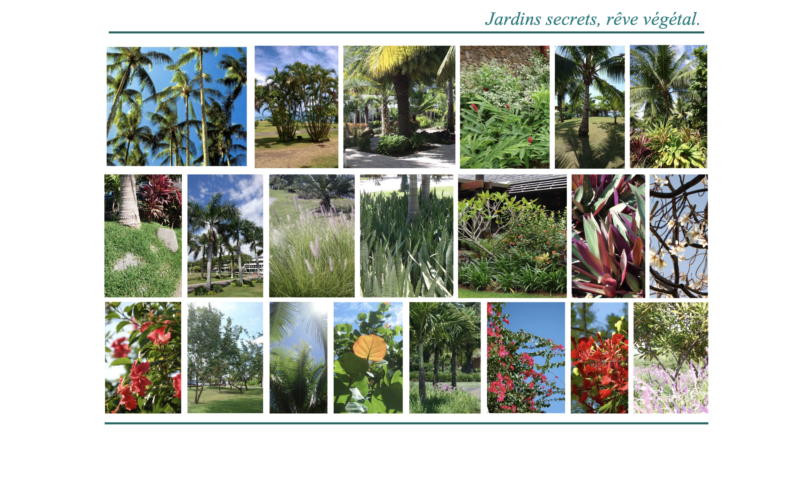 Image d'un parc numero 6